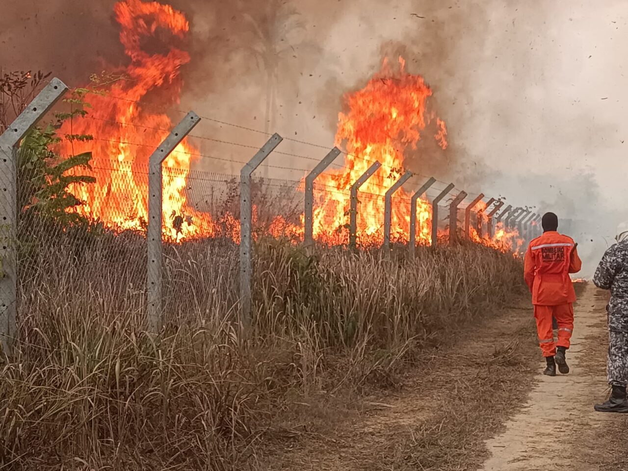 QUEIMADAS: Governo suspende uso de fogo em todo estado por 90 dias