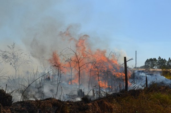 PERÍODO SECO: Incêndio causa prejuízo de mais de 10 alqueires queimados