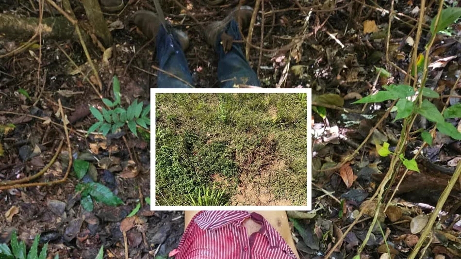 Vaqueiro morre após sofrer ataque de onça em fazenda de Tapurah