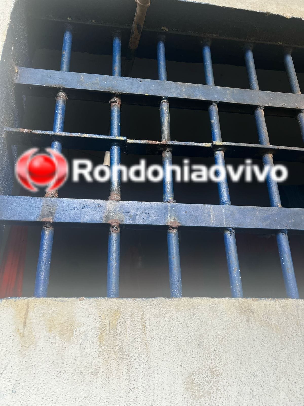 URSO PANDA: Policiais descobrem grades de celas serradas e evitam fuga em massa