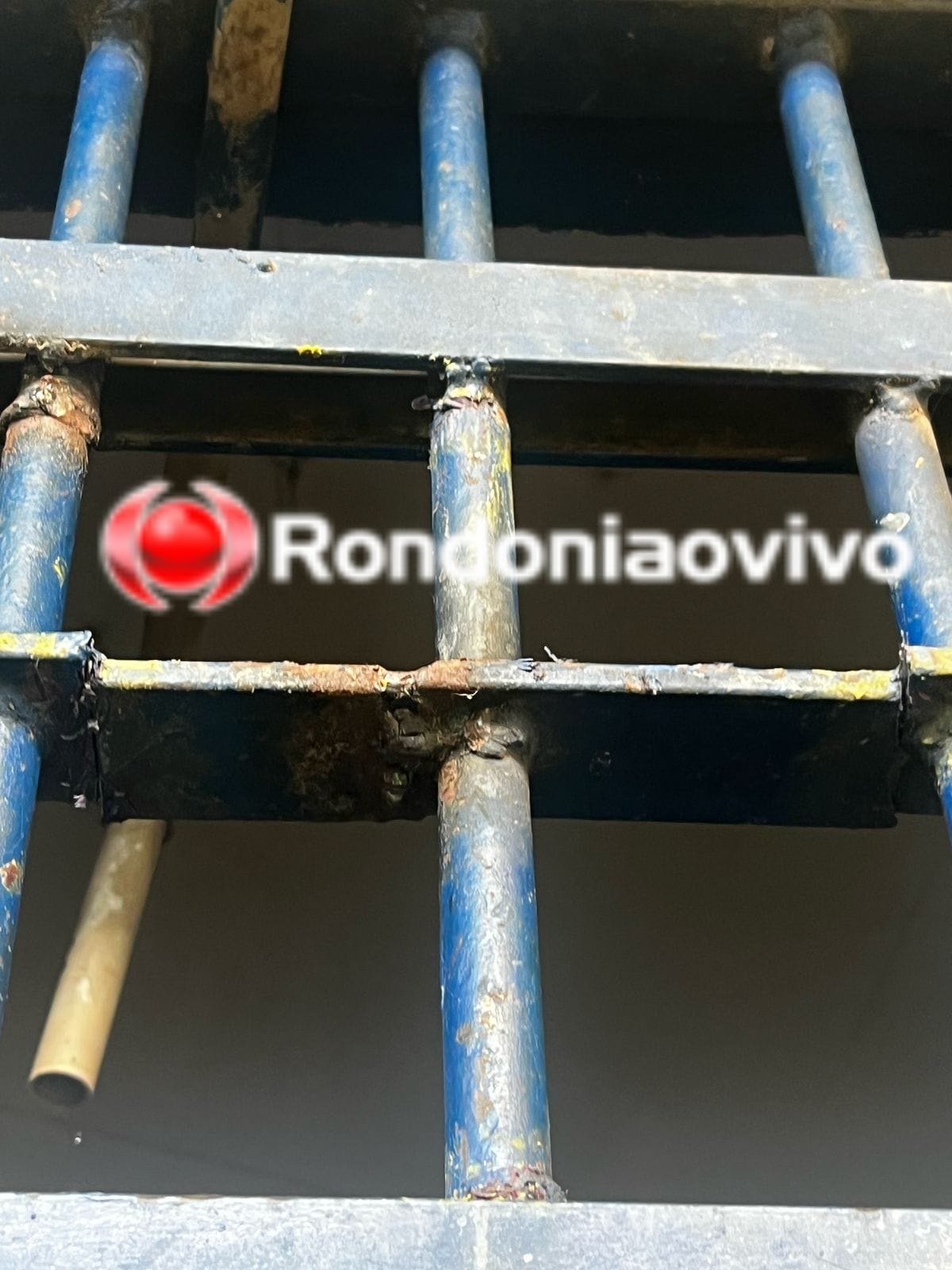URSO PANDA: Policiais descobrem grades de celas serradas e evitam fuga em massa