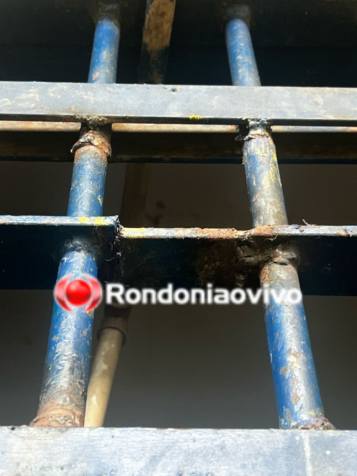 URSO PANDA: Policiais descobrem grades de celas serradas e evitam fuga em massa