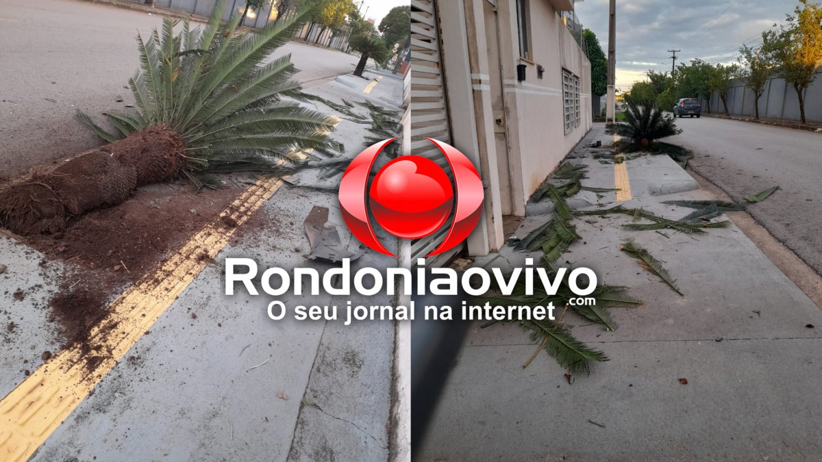 VÍDEO: Motorista foge após subir calçada e provocar acidente