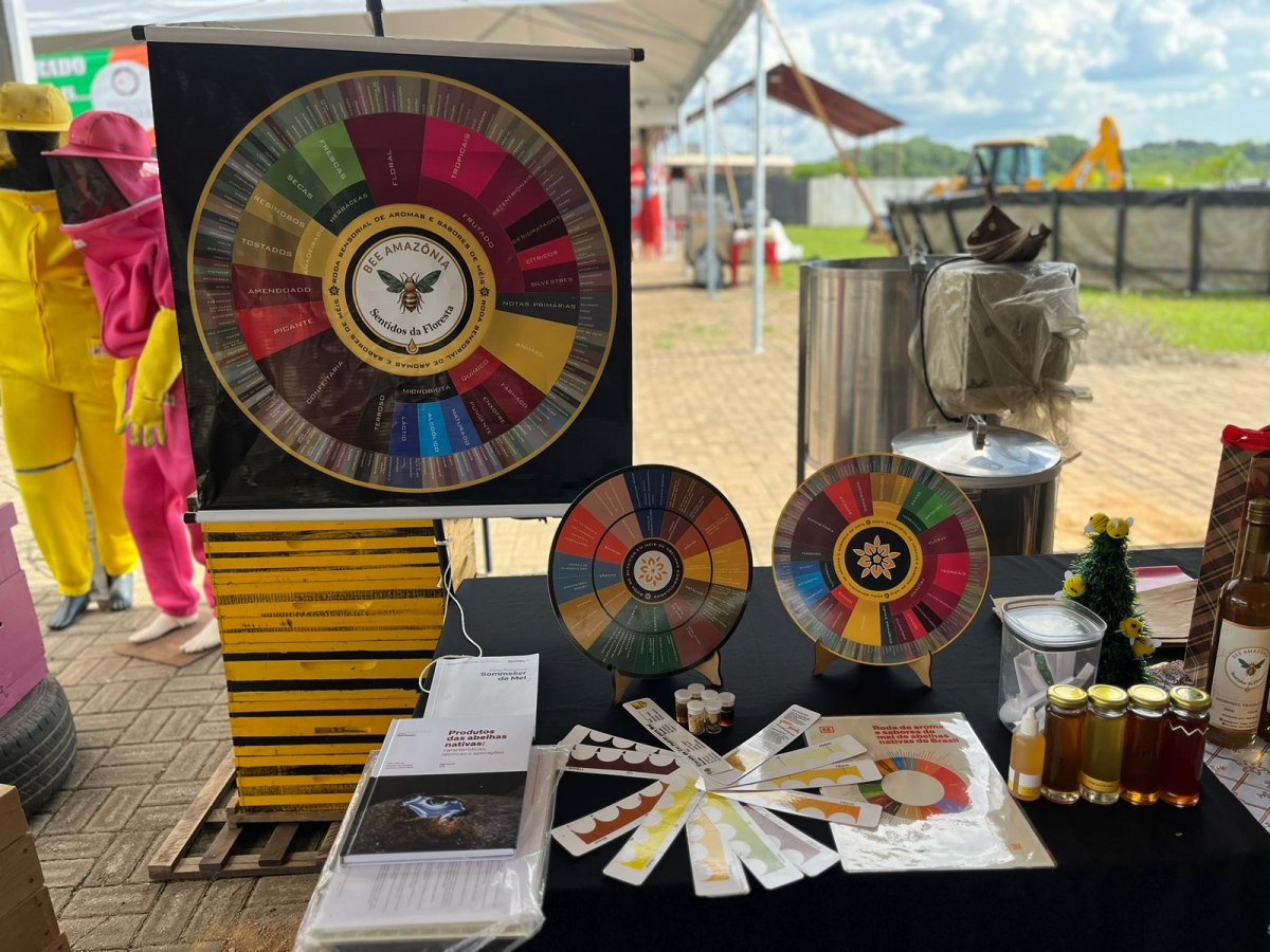 EM PORTO VELHO: Feira Sustentável Agrotropical reúne produtores, artesãos e atrações culturais 