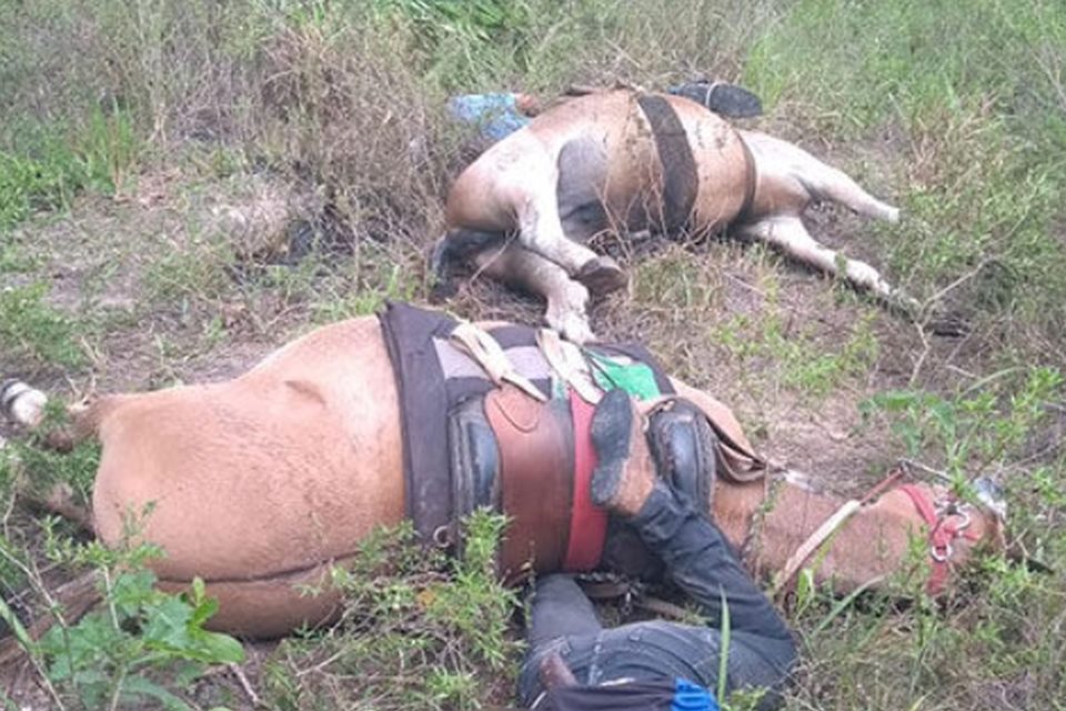 NA HORA: Funcionários de fazenda e cavalos morrem eletrocutados