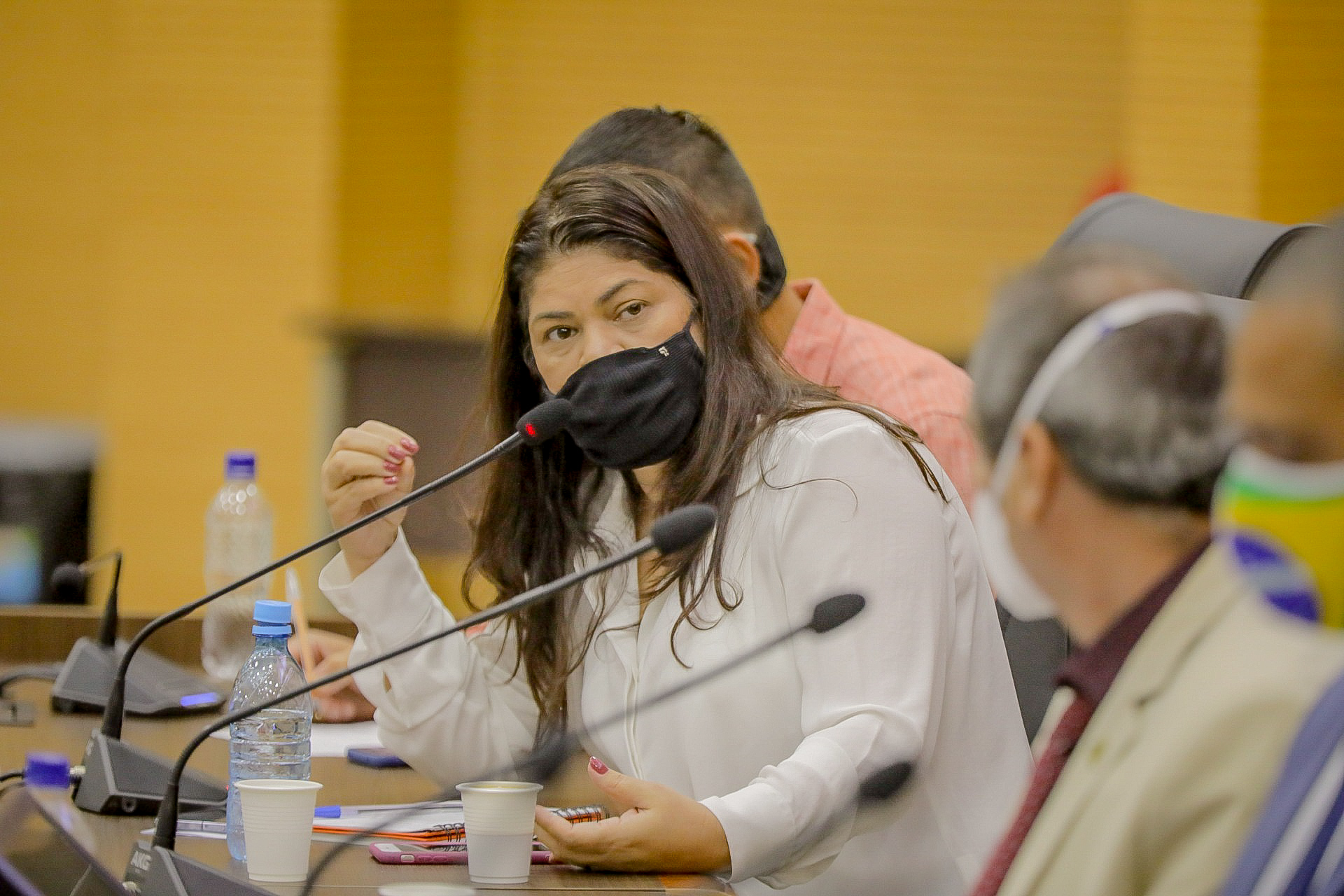 Deputada Cássia se posiciona a favor dos produtores de leite de Rondônia