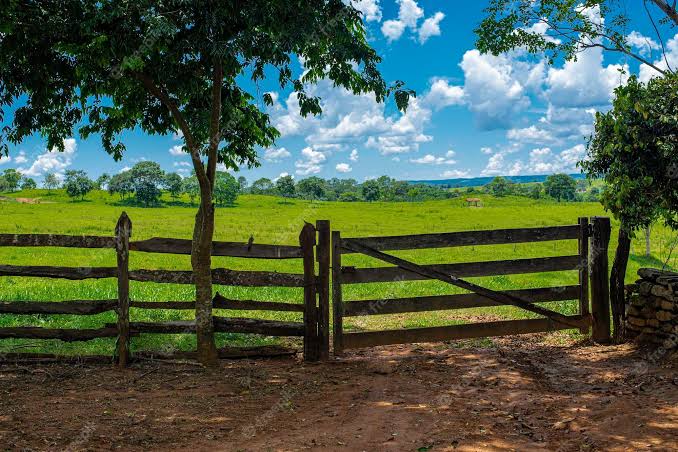 'NA 319': Bandidos invadem fazenda e fogem levando armas, veículos e equipamentos 