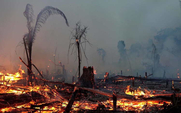 NATUREZA AGONIZA: Floresta do Jacundá continua pegando fogo e órgãos públicos ignoram situação