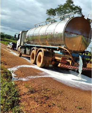 PREÇO BAIXO: Produtores de leite em União Bandeirantes protestam jogando produto na rua