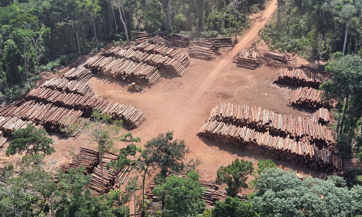 CRIMES AMBIENTAIS: Extração ilegal de madeira aumentou 19% na Amazônia