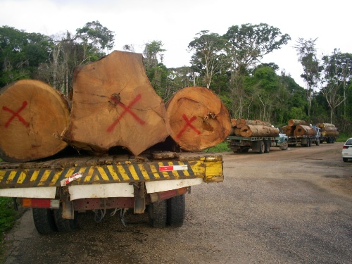 PRF apreende 51 m³ de madeira em Jaci-Paraná