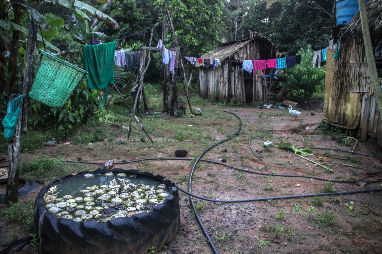 AMAZÔNIA: Madeira de Dentro é a nova exposição da fotógrafa Marcela Bonfim