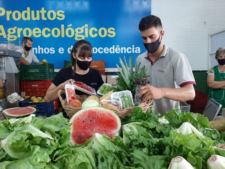 COMÉRCIO: País tem 150 novos mercados externos para produtos agrícolas 