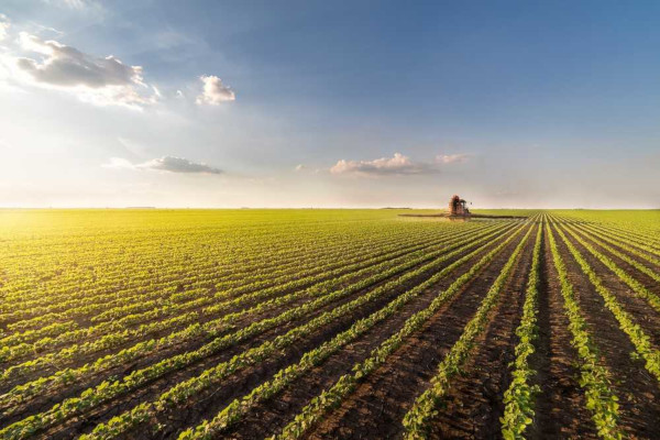 AMÉRICA LATINA: Inscrições para seminário internacional sobre agricultura vão até dia 30