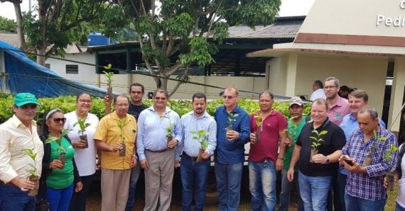 PLANTE MAIS: Governo entrega mudas de café clonal para produtores rurais de Guajará-Mirim