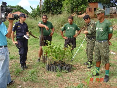 Polícia Ambiental recupera mata ciliar nos igarapés