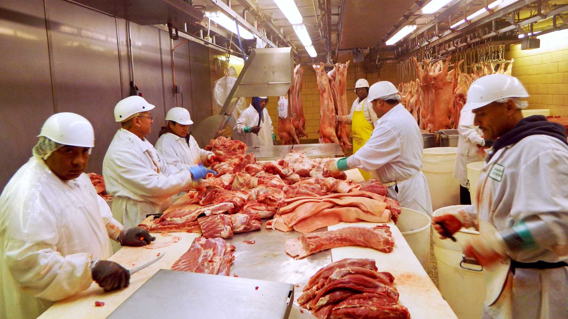 INVESTIGAÇÃO: Juiz condena mais seis na Operação Carne Fraca