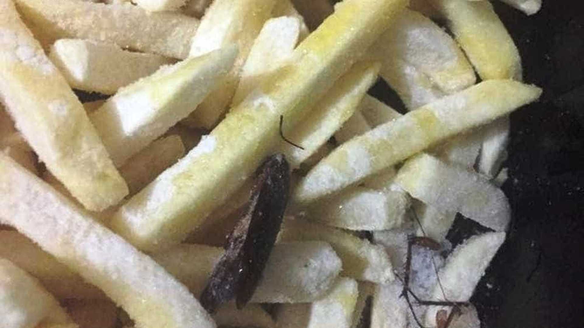 Barata congelada é achada dentro de pacote de batata frita