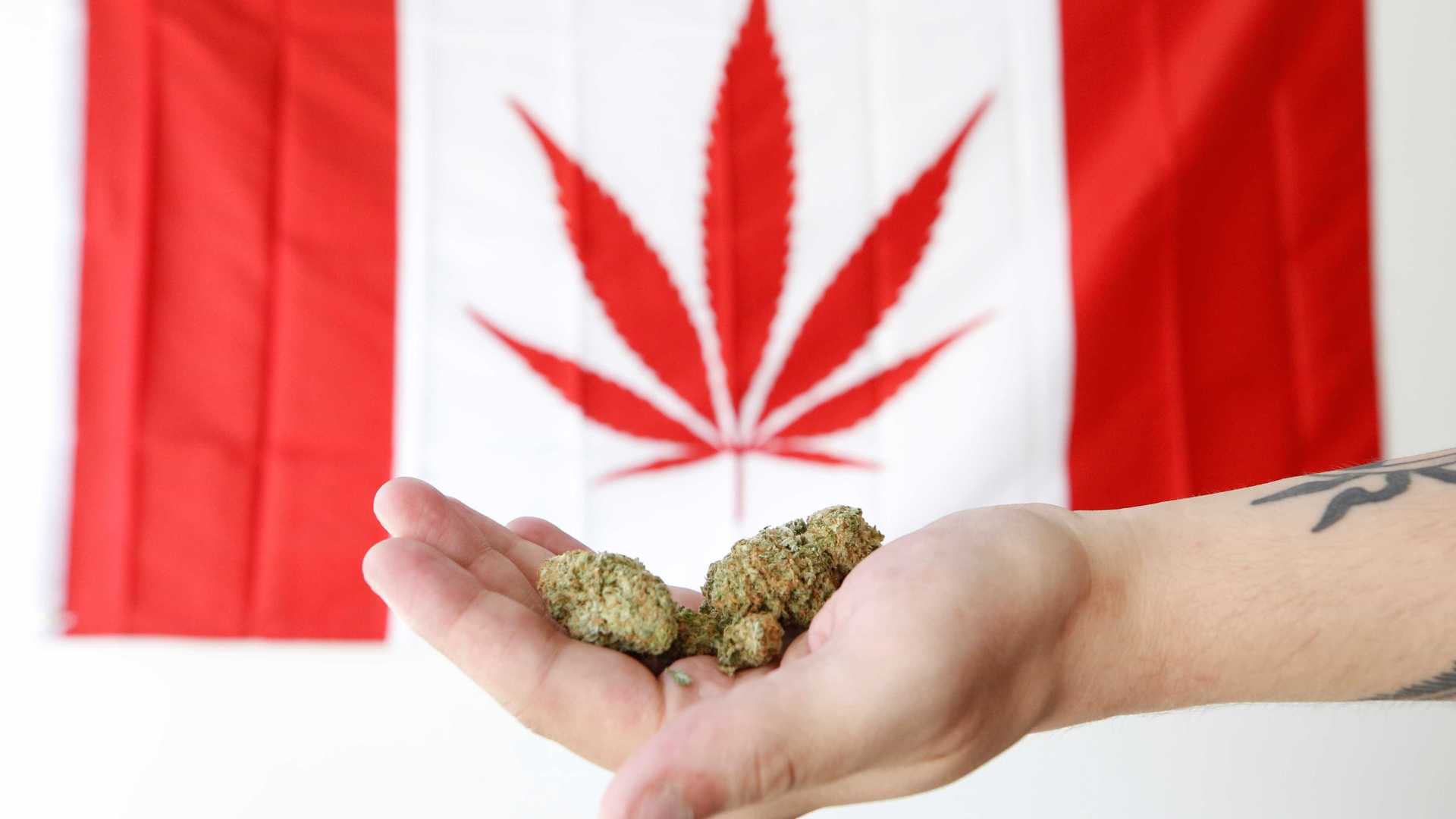 LEGISLAÇÃO: Venda de maconha para uso recreativo começa em outubro no Canadá