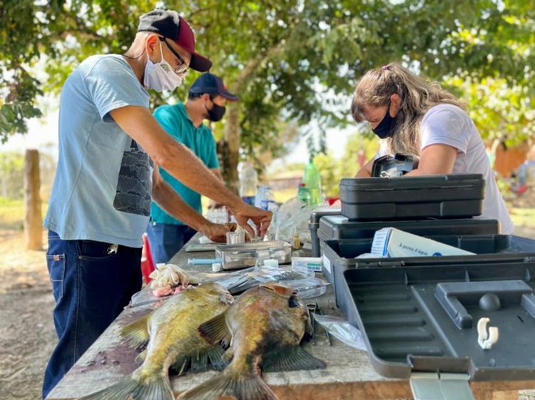 PEIXE SAUDÁVEL: Laboratório móvel de programa impulsiona a piscicultura em RO