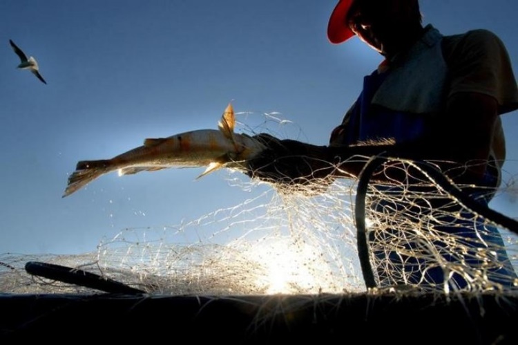 ONLINE: Registro de pescador amador pode ser solicitado pela internet 