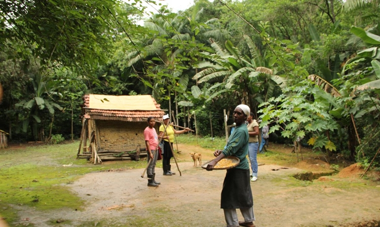 'TÔ NO MAPA': Aplicativo mapeia 5,3 mil famílias em territórios tradicionais