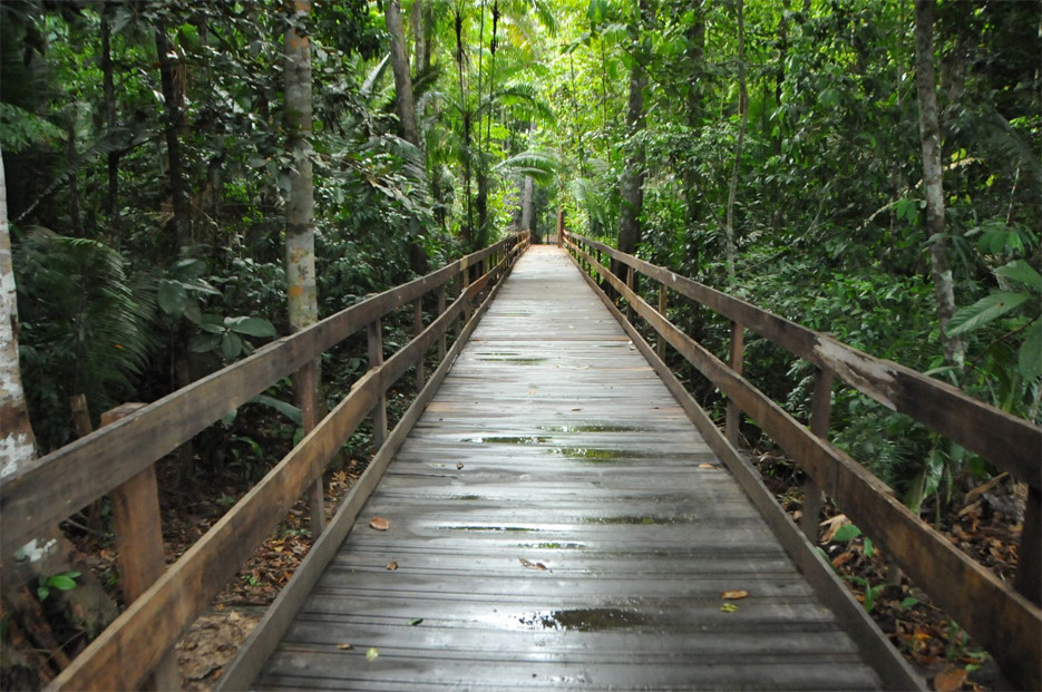 TRILHA: 1º Rally a Pé realizado pela Amazônia Adventure® abre inscrições nesta segunda