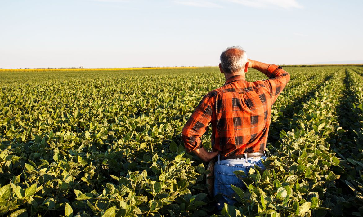 AGRICULTURA: CMN reduz exigências para operações de crédito rural no país