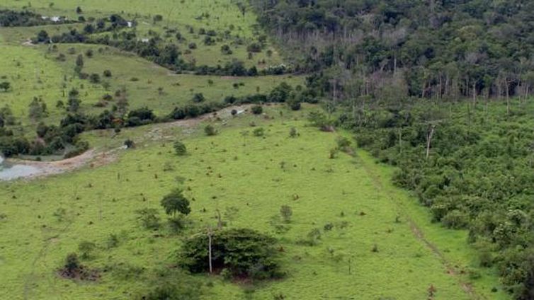 CAR: Adesão ao Cadastro Ambiental Rural pode ser feita até o fim de 2019