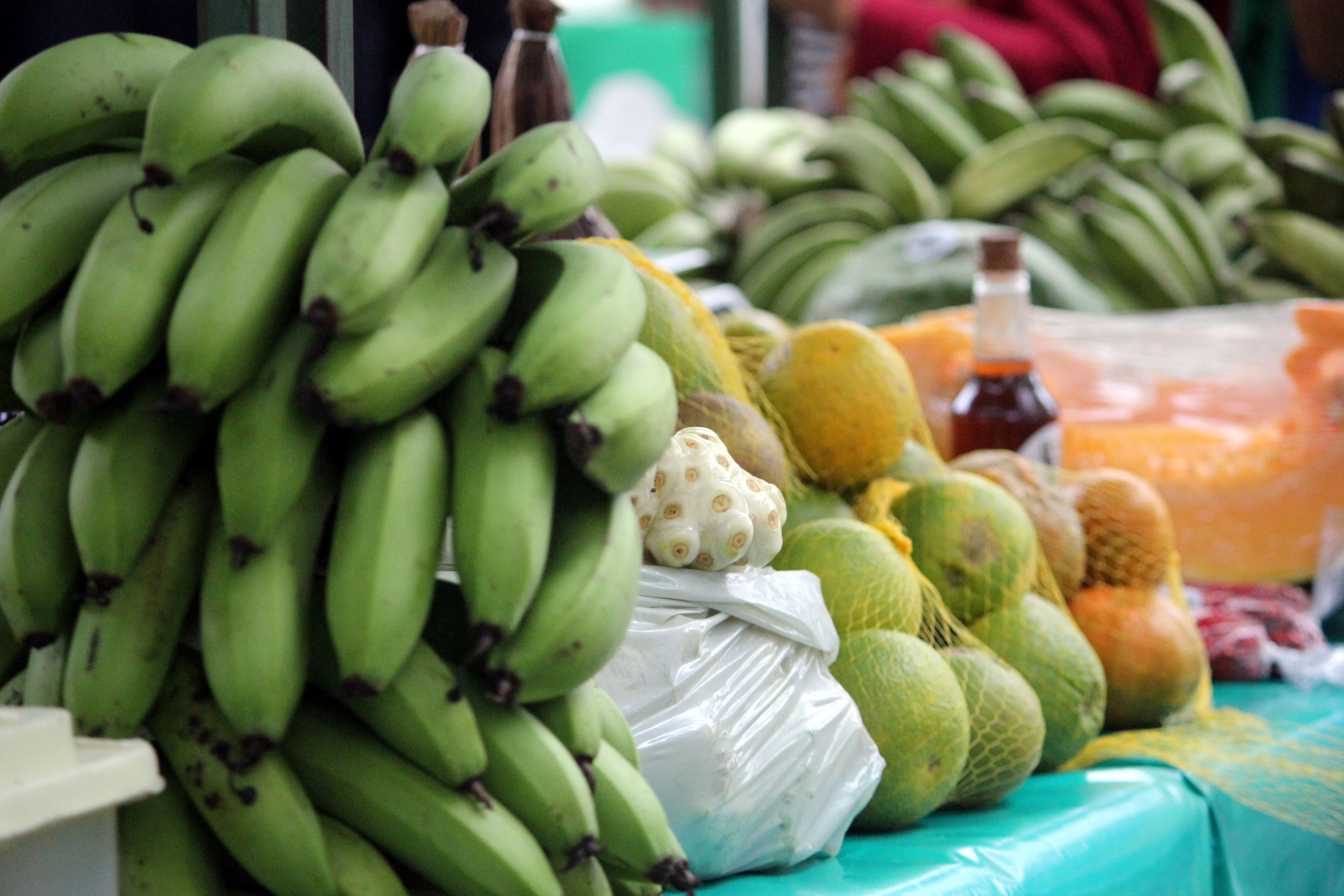 SEM VENENO: Iª Feira Agroecológica da CPT acontece em Porto Velho nos dias 09 e 10