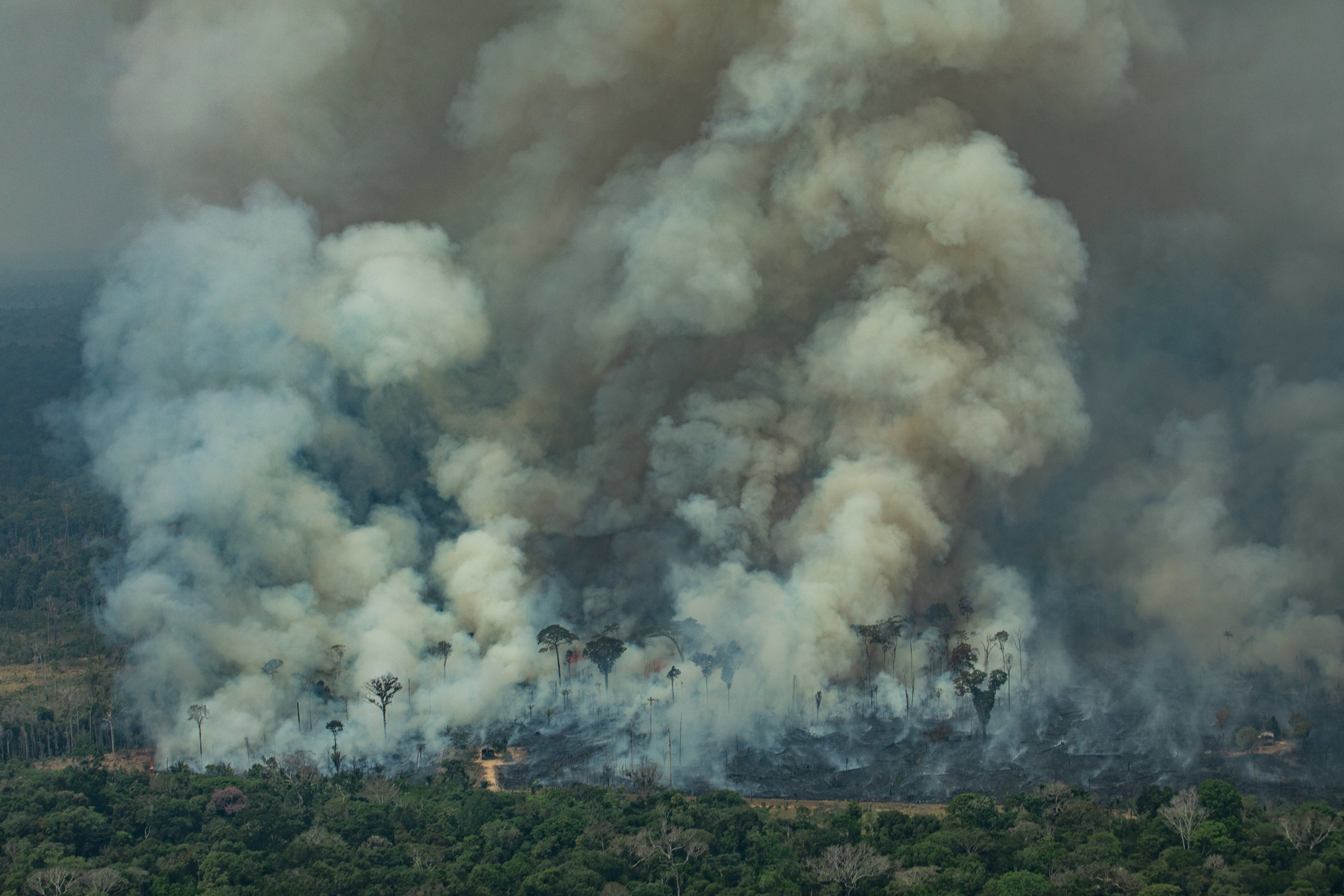 QUEIMADAS: Incêndios na floresta amazônica aumentam 308% em RO, aponta instituto 