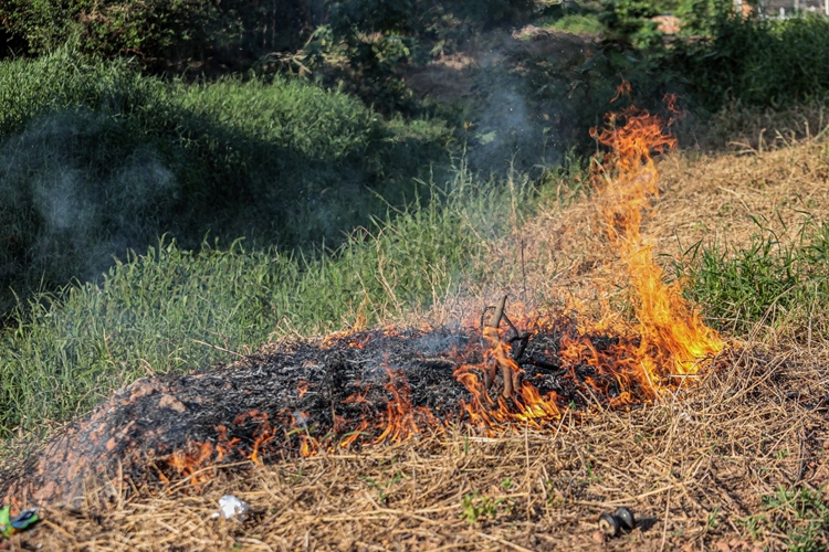 FOGO:  Fiscalização ambiental contra queimadas é reforçada em Porto Velho