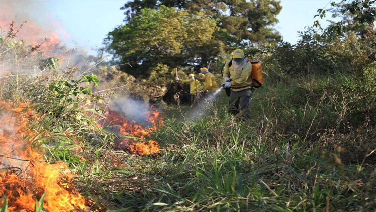 PREOCUPAÇÃO: Estudo alerta que sem manejo do fogo, incêndios vão se agravar