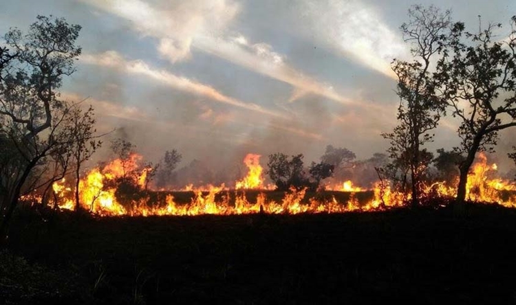 SEM TRÉGUA: Fogo continua em RO e Porto Velho registra quase 3 mil focos de queimadas