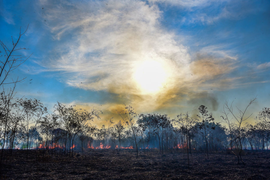 ICMbio confirma que irá contratar brigadistas para combate de incêndio no Acre