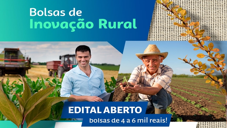 RURAL: Sebrae lança primeiro edital para selecionar bolsistas para atuar em inovação 