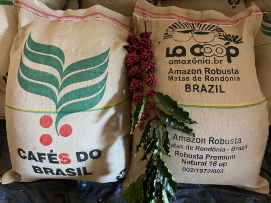 RONDÔNIA: 640 sacas de Café Robusta Amazônico foram exportados para a Coreia do Sul