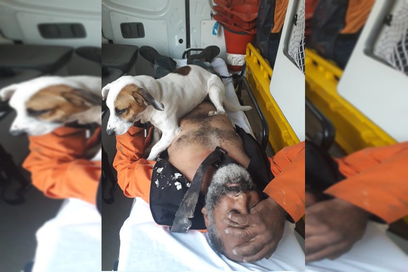 VÍDEOS: Homem é atropelado e cachorro avança em equipe do Samu para defender dono