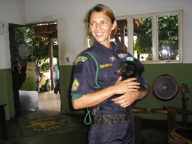 Cresce número de animais recebidos pelo Polícia Ambiental de Rondônia