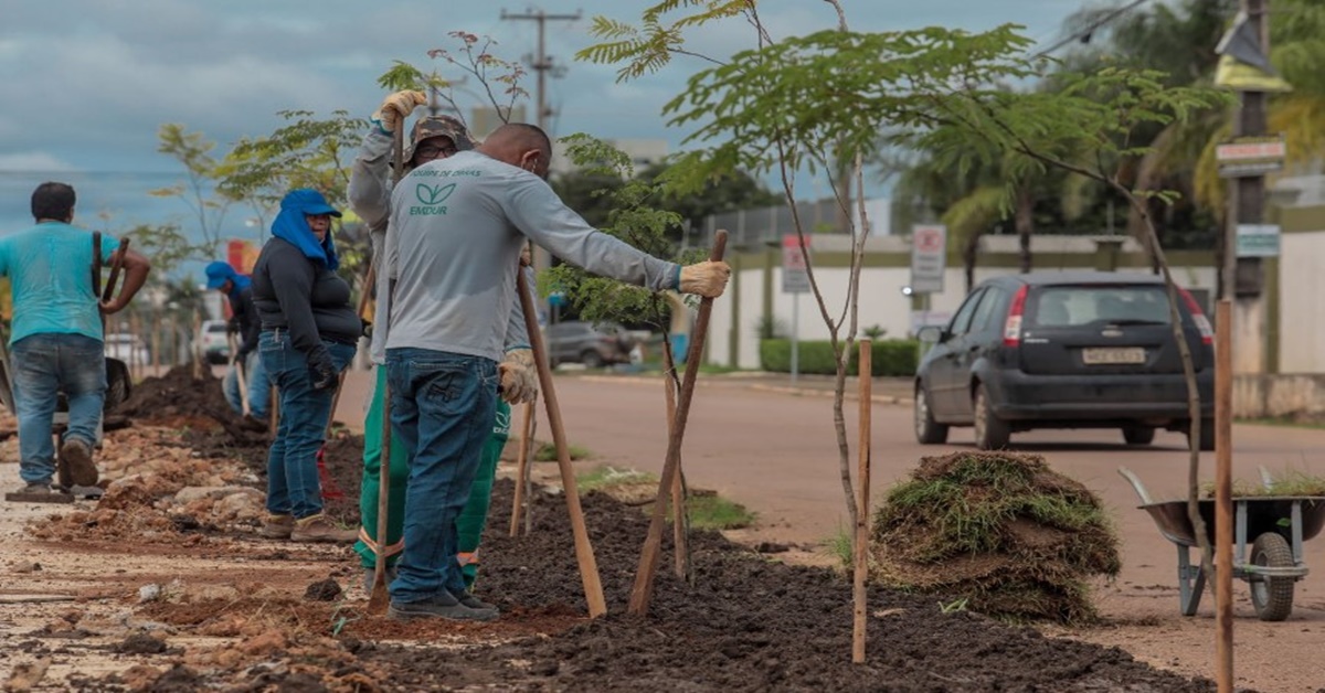 PÓS OBRAS: Nova arborização começa a ser feita em trecho da avenida Tiradentes