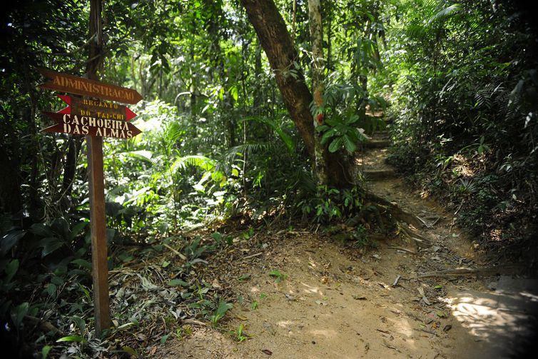 CAMINHOS: Rede de trilhas de 18 mil km começa a ser construída no Brasil