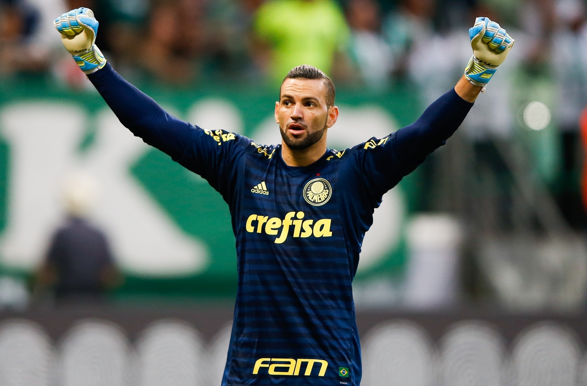 PALMEIRAS X SANTOS: Goleiro do Acre pode fazer história na decisão da Libertadores neste sábado