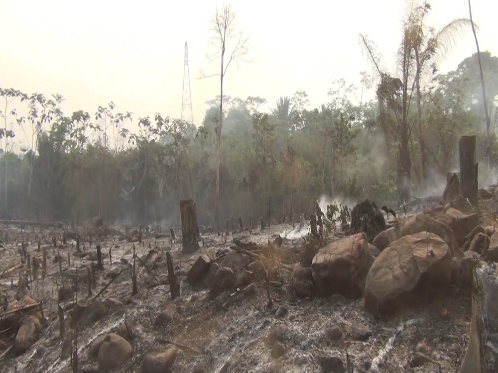 FOGO: Corpo é encontrado carbonizado em área de queimada