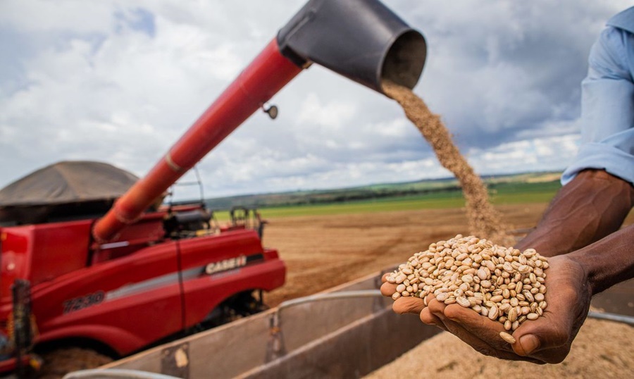 CALOR: Estudo mostra que aumento da temperatura vai afetar agricultura no país