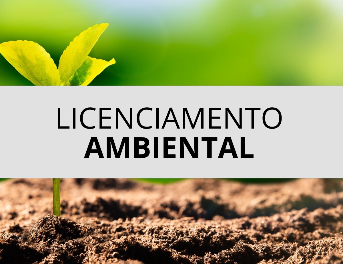 Associação Porto-Velhense De Educação Personalizada