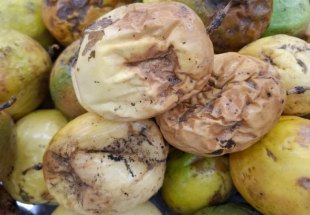 SUPERMERCADOS: Alta nos preços e produtos de baixa qualidade acendem alerta na capital