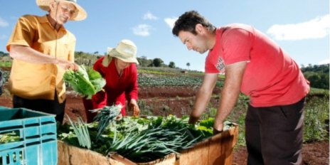 CONCURSO NACIONAL: Embrapa vai premiar inventos para fortalecer a agricultura familiar