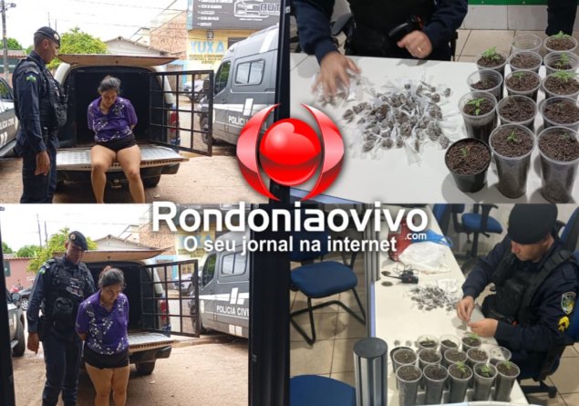 ORGULHO DO MADEIRA: Mulher é presa com porções de drogas e mudas de maconha - VÍDEO