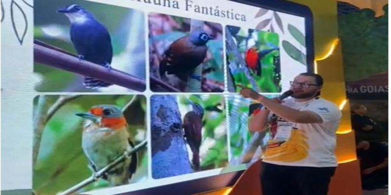 NOVO TURISMO: Projeto deve tornar Porto Velho em Capital de Observação de Pássaros